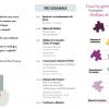 Programma - Dal sogno al progetto